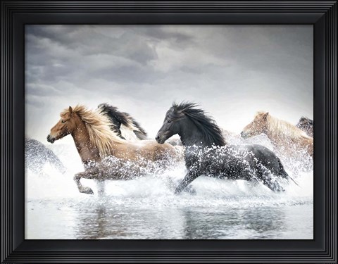Framed Horse Run V Print