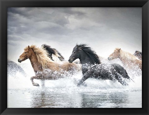 Framed Horse Run V Print