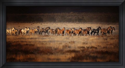 Framed Horse Run VII Print