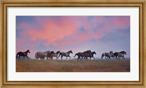Framed Horse Run VIII Print