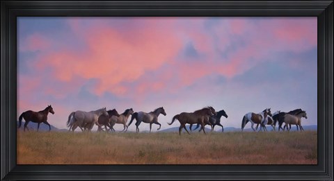 Framed Horse Run VIII Print