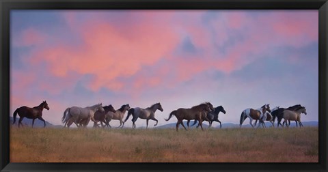 Framed Horse Run VIII Print