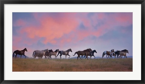 Framed Horse Run VIII Print