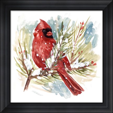 Framed Cardinal I Print