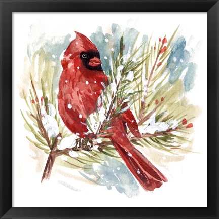 Framed Cardinal I Print