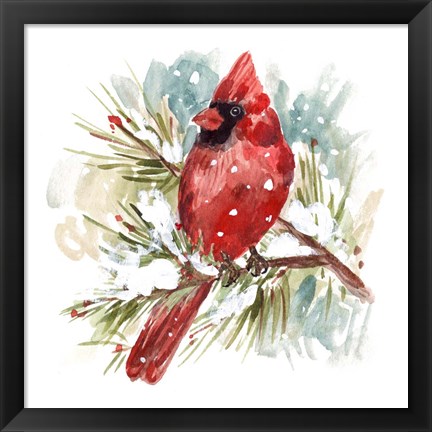 Framed Cardinal II Print