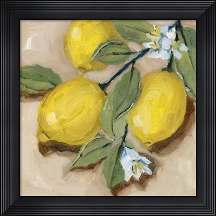 Framed With the Sun II Print
