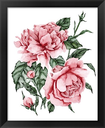 Framed Roses are Red II Print
