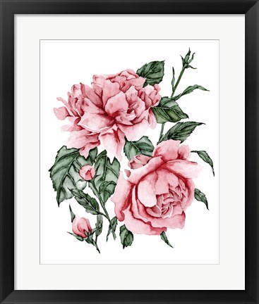 Framed Roses are Red II Print