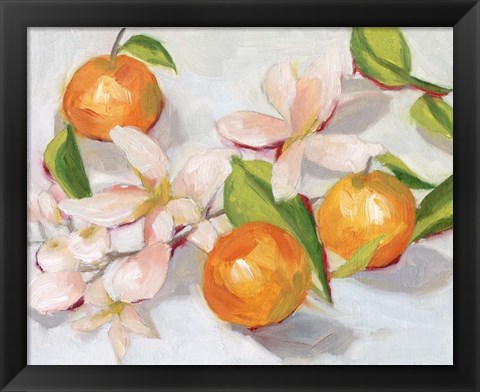 Framed Tangerine Blossoms II Print