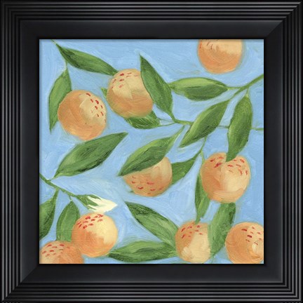 Framed Sweet Tangerine II Print
