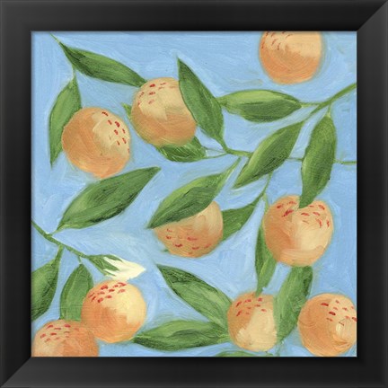 Framed Sweet Tangerine II Print