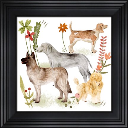 Framed Little Walk V Print