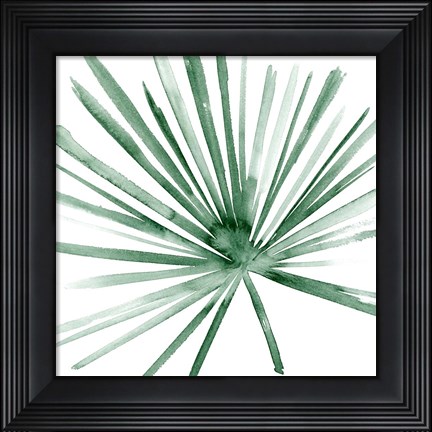 Framed Palm II Print