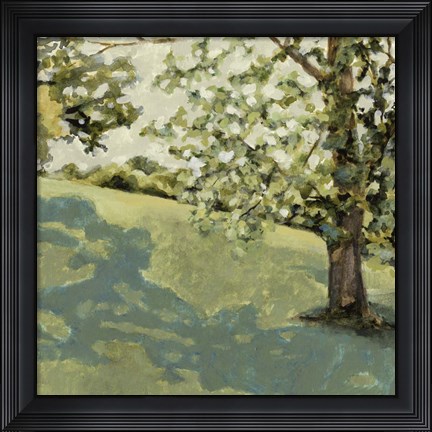 Framed Sun Patch II Print
