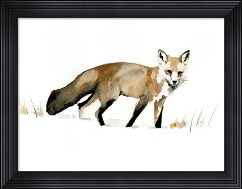 Framed Winter Fox I Print