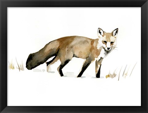 Framed Winter Fox I Print