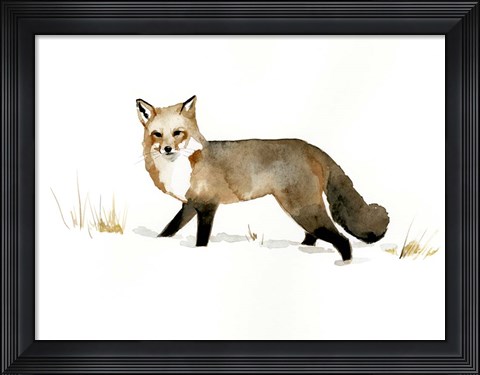 Framed Winter Fox II Print