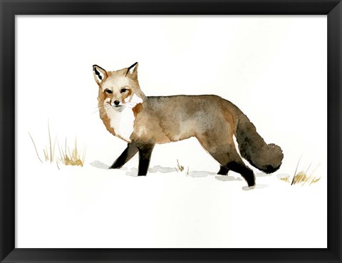 Framed Winter Fox II Print