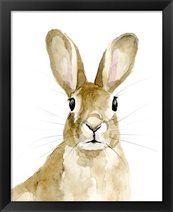 Framed Bunn I Print