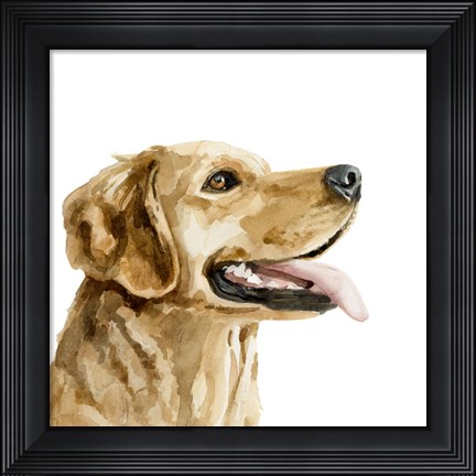 Framed Pet Profile II Print