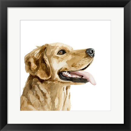 Framed Pet Profile II Print