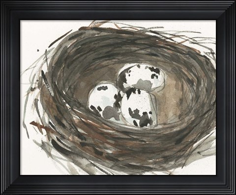 Framed Nesting Eggs I Print