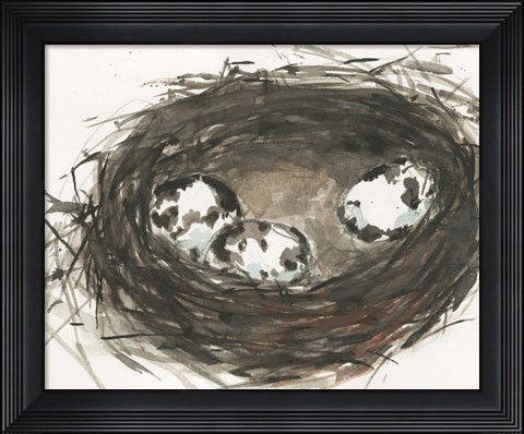 Framed Nesting Eggs II Print