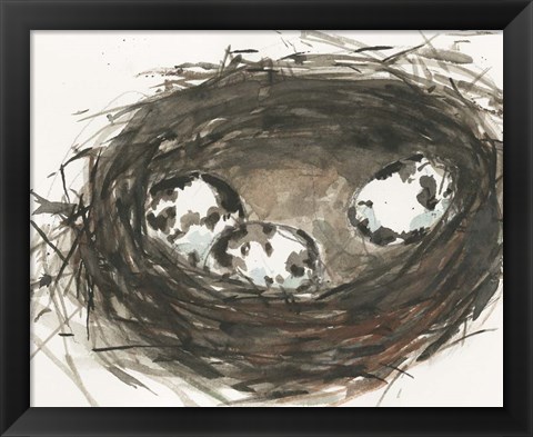 Framed Nesting Eggs II Print