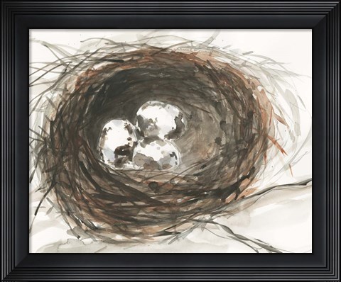 Framed Nesting Eggs III Print