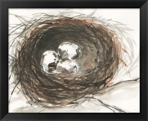 Framed Nesting Eggs III Print