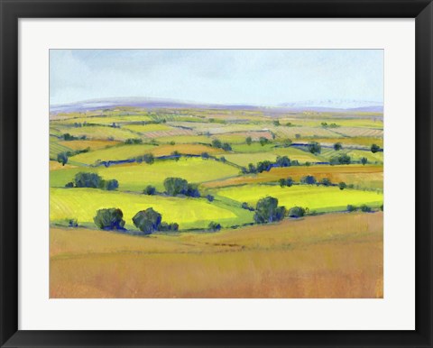 Framed Patchwork Vista II Print