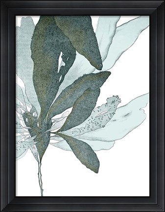 Framed Seaside Seaweed I Print