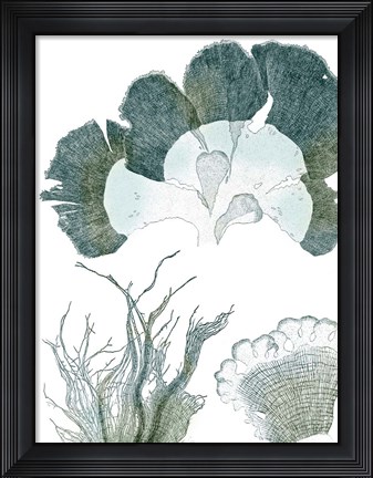 Framed Seaside Seaweed II Print
