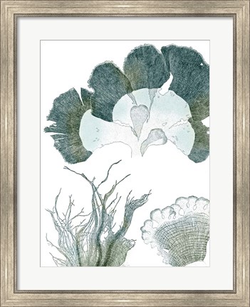 Framed Seaside Seaweed II Print