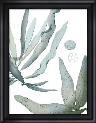 Framed Seaside Seaweed IV Print