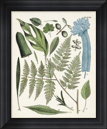 Framed Fanciful Ferns IV Print