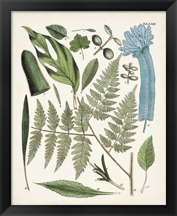 Framed Fanciful Ferns IV Print