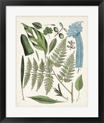 Framed Fanciful Ferns IV Print