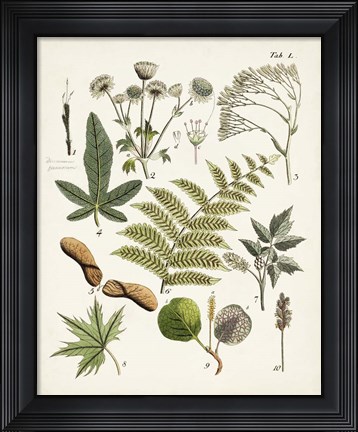 Framed Fanciful Ferns VI Print