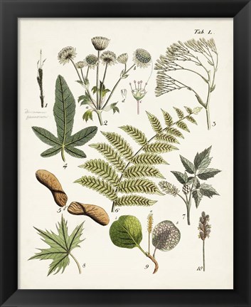 Framed Fanciful Ferns VI Print