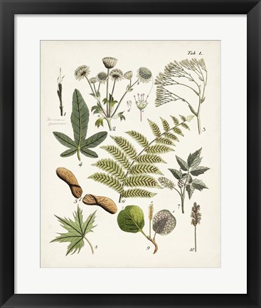 Framed Fanciful Ferns VI Print