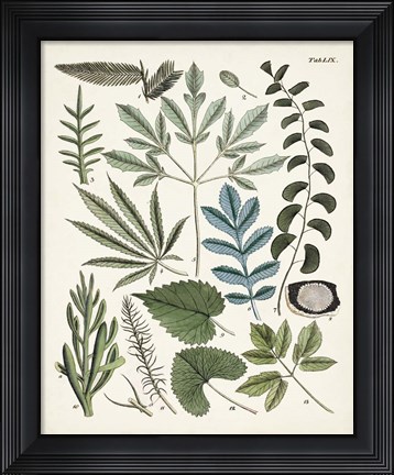 Framed Fanciful Ferns VII Print