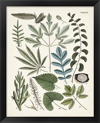 Framed Fanciful Ferns VII Print