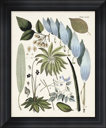 Framed Fanciful Ferns IX Print