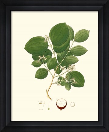 Framed Spring Green Foliage I Print