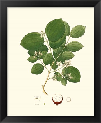 Framed Spring Green Foliage I Print