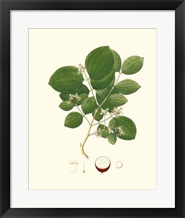 Framed Spring Green Foliage I Print