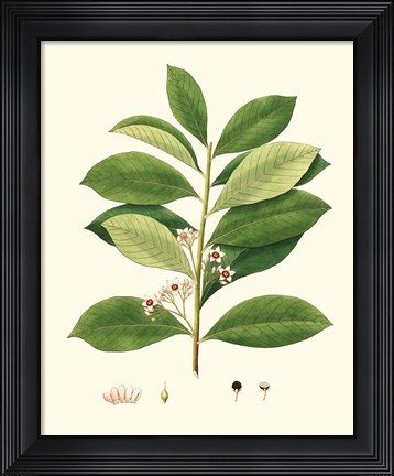 Framed Spring Green Foliage III Print
