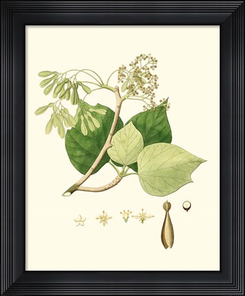 Framed Spring Green Foliage IV Print